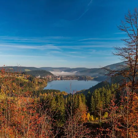 Radhaus, Todtnau, 3 Schlafzimmer דירה *